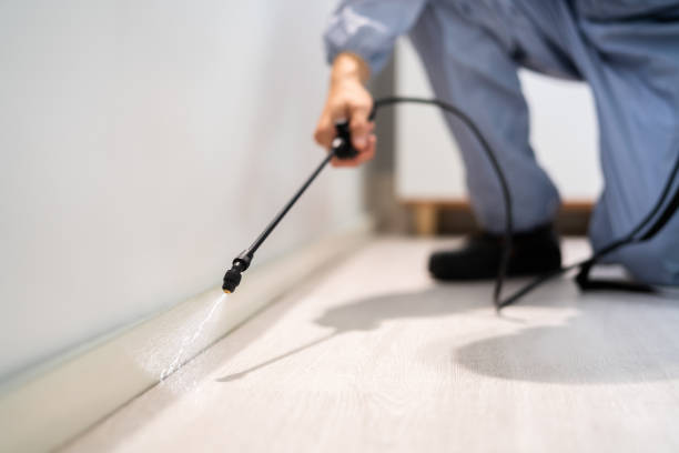 Bed Bug Pre-Treatment Preparation Assessment in Vero Beach