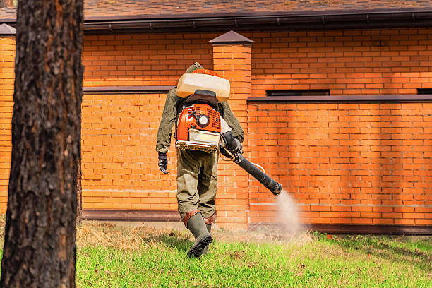 Bed Bug Clearance Verification and Documentation in Vero Beach
